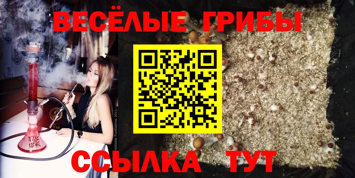 Галлюциногенные грибы MAGIC MUSHROOMS Зерноград