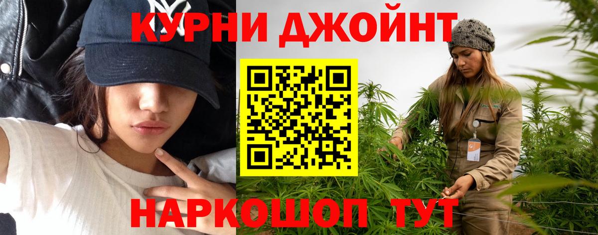 Канабис сатива Зерноград